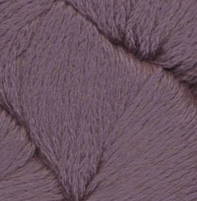 Hovedbilde Dromedary Orchid Tree