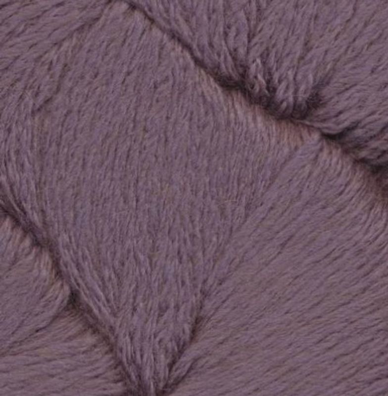 Dromedary Orchid Tree